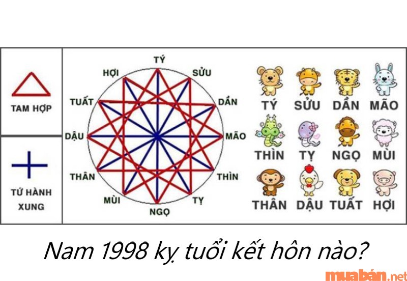 Luận giải tình duyên Mậu Dần nam 1998 lấy vợ tuổi gì thì hợp?