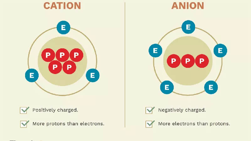 Anion là gì? Những tác dụng không ngờ tới của Anion có thể bạn không biết