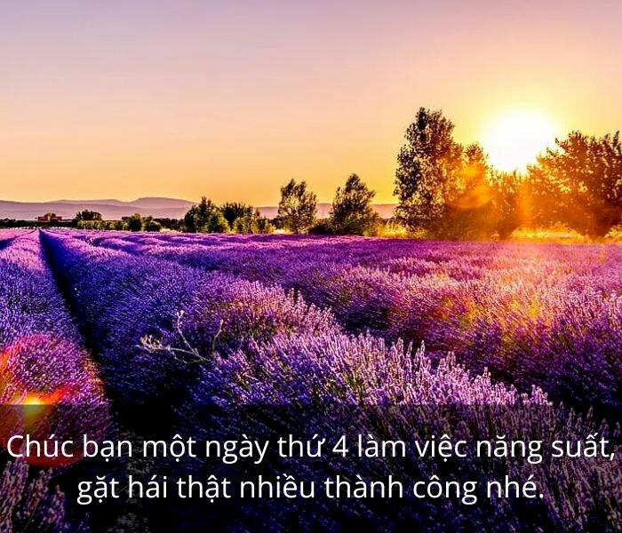 101 ảnh chúc thứ 4 thành công đẹp, ý nghĩa, chất lượng cao, tải miễn phí