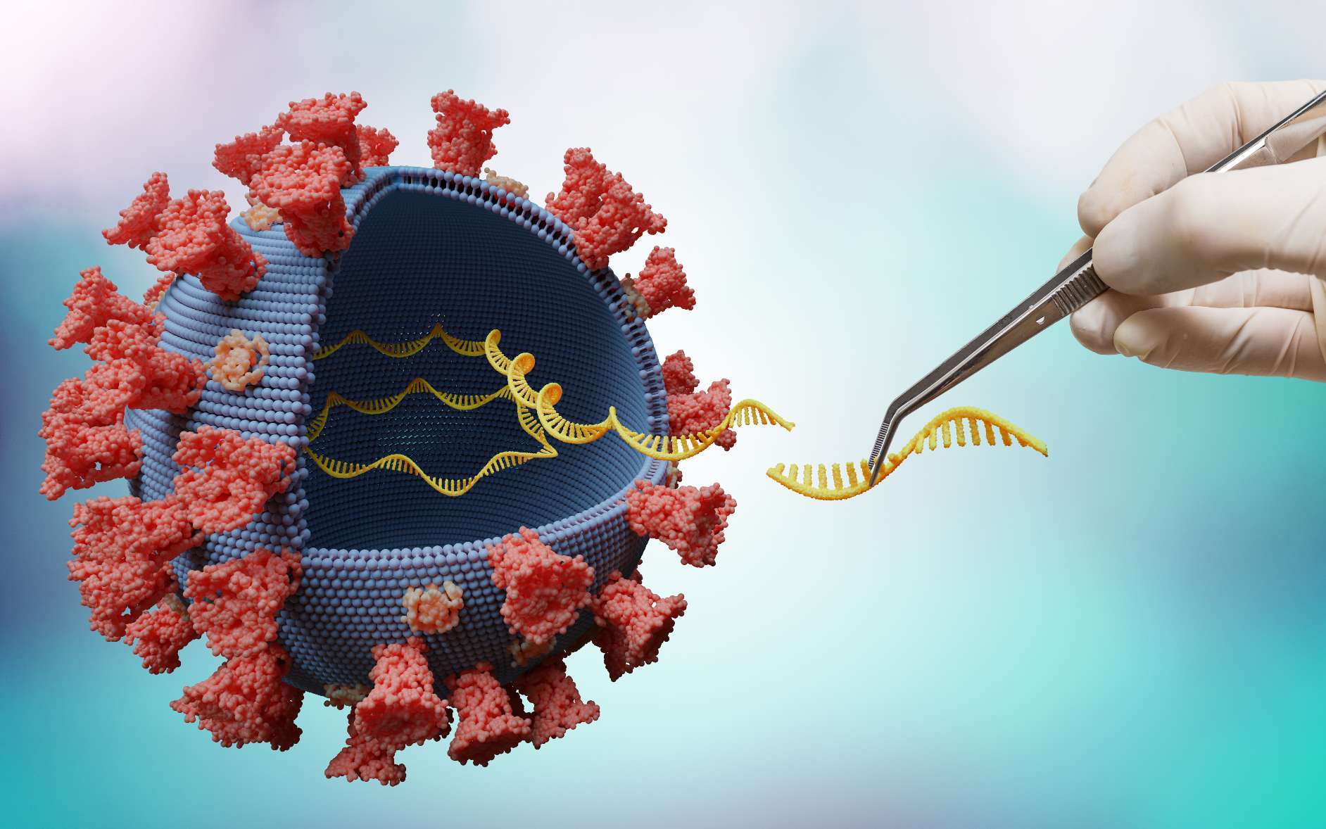 Axit nucleic là gì? Cơ chế hoạt động và chức năng cần biết