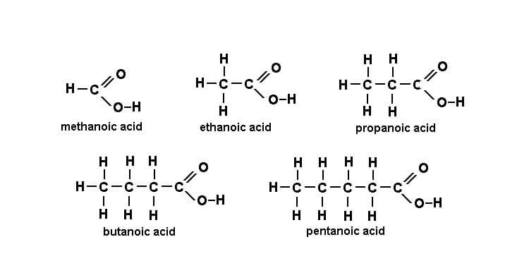 Acid carboxylic là gì? Tính chất, ứng dụng, cách điều chế