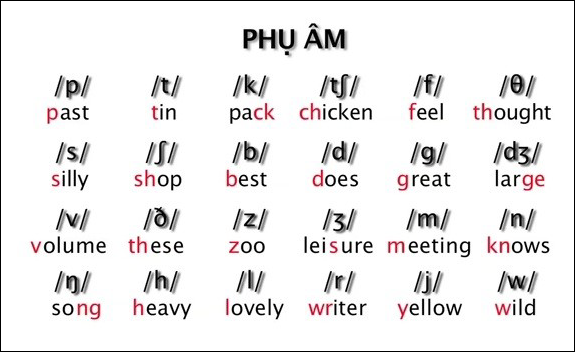 Bảng chữ cái tiếng Anh: Phiên âm và Cách đánh vần chuẩn nhất