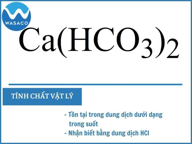 Ca(hco3)2 là gì? Thông tin chi tiết từ A-Z về canxi cacbonat