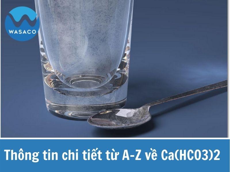 Ca(hco3)2 là gì? Thông tin chi tiết từ A-Z về canxi cacbonat