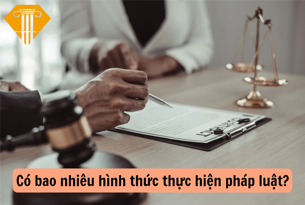 Có bao nhiêu hình thức thực hiện pháp luật?