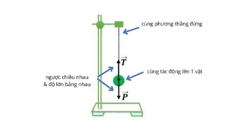 Hai lực cân bằng là gì? Lý thuyết và bài tập chi tiết