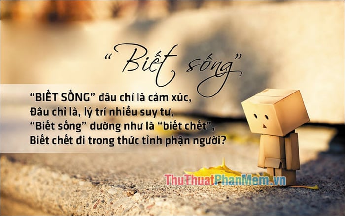 Danh sách 100 bài thơ xuất sắc về triết lý cuộc sống