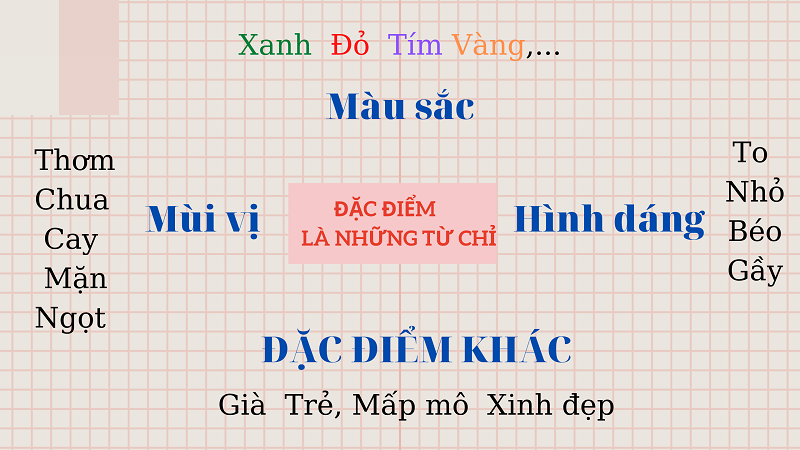 Tiếng việt lớp 2 từ chỉ đặc điểm là gì? Bí quyết cách học đơn giản nhưng hiệu quả