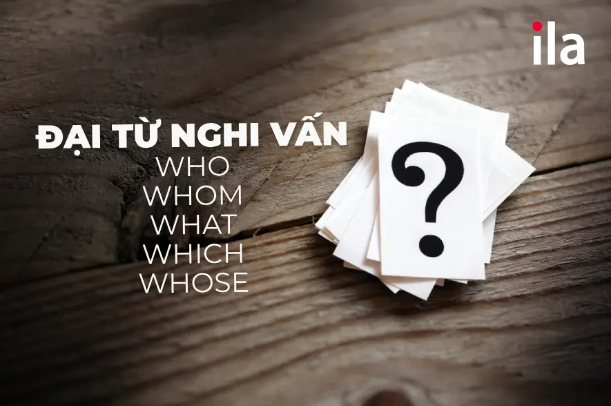 Cách dùng Who, Whom, Whose: Bỏ túi bí kíp không lo sai