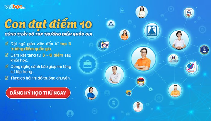 Các trường hợp đồng dạng của hai tam giác vuông| Toán 8 chương trình mới