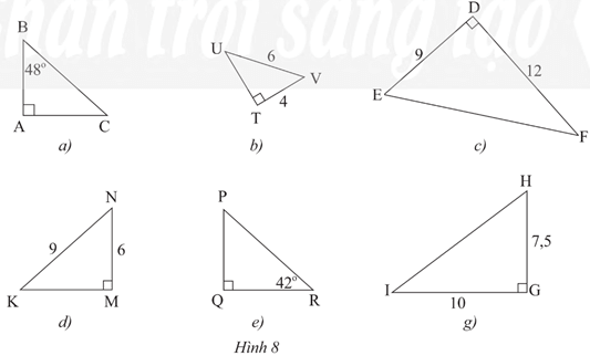 Các trường hợp đồng dạng của hai tam giác vuông| Toán 8 chương trình mới