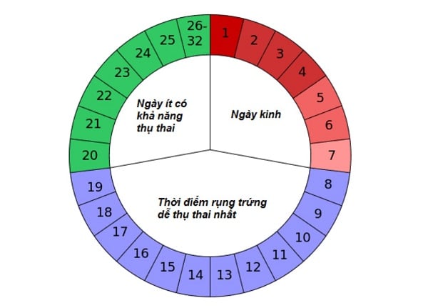 Que thử rụng trứng vạch trên đậm, vạch dưới mờ nghĩa là gì?