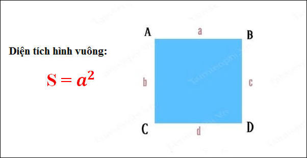 Bí Mật Đằng Sau Công Thức Tính Diện Tích Tứ Giác