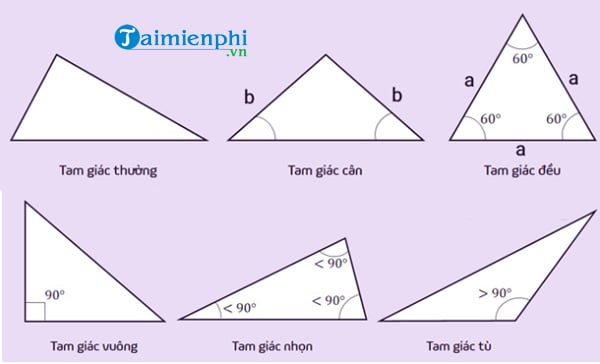 Công thức tính diện tích tam giác Thường, Vuông, Cân, Đều