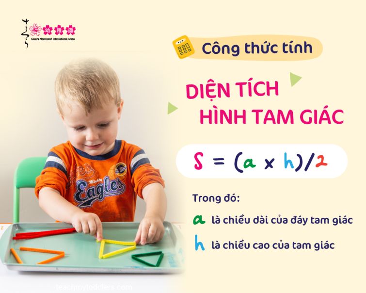 Tổng hợp các công thức tính diện tích tam giác đầy đủ, chi tiết