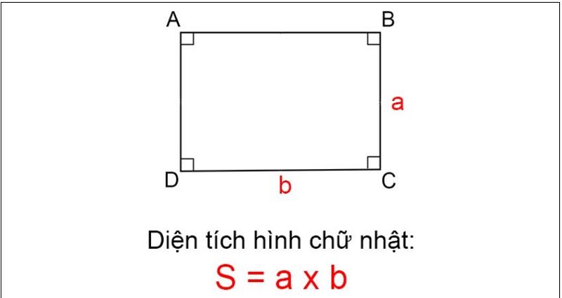 Công Thức Tính Diện Tích Hình Chữ Nhật & Bài Tập Thực Hành