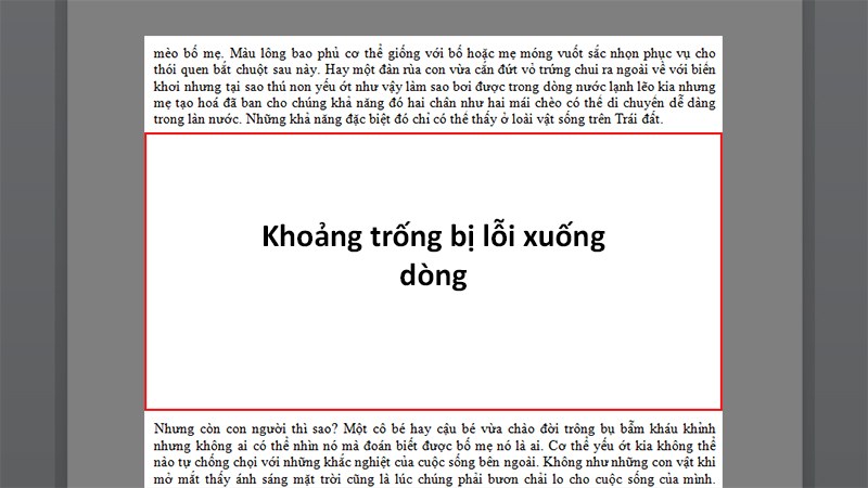 Cách xuống dòng trong Word và mẹo xử lý lỗi xuống dòng thường gặp