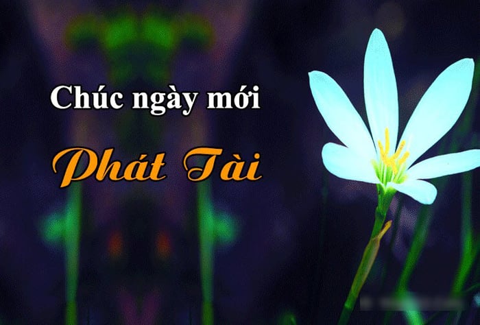 Ảnh chúc ngày mới tốt lành và đẹp mắt