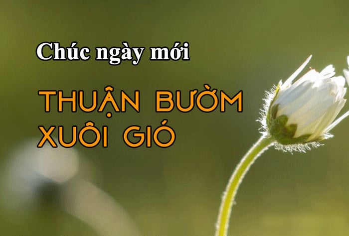 Ảnh chúc ngày mới tốt lành và đẹp mắt