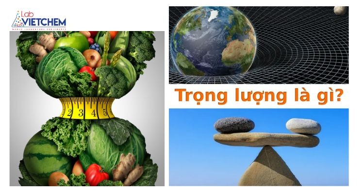 Trọng lượng là gì? Công thức tính trọng lượng như thế nào?