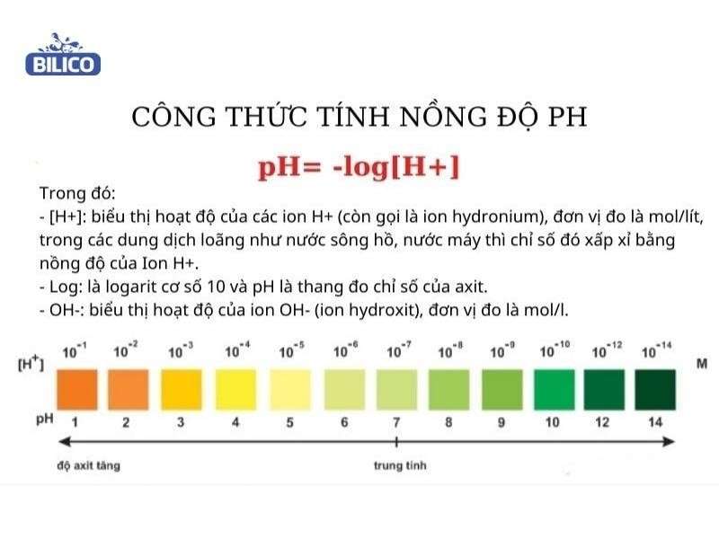 Công thức tính pH - Cách tính pH của dung dịch [CHUẨN NHẤT]