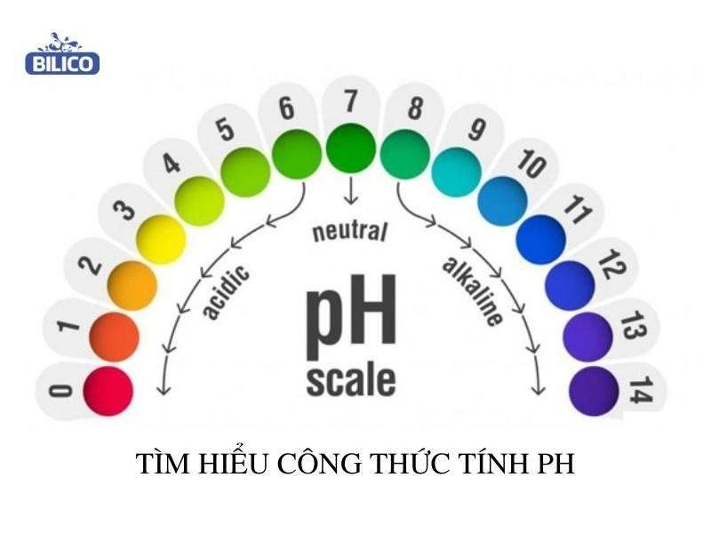 Công thức tính pH - Cách tính pH của dung dịch [CHUẨN NHẤT]