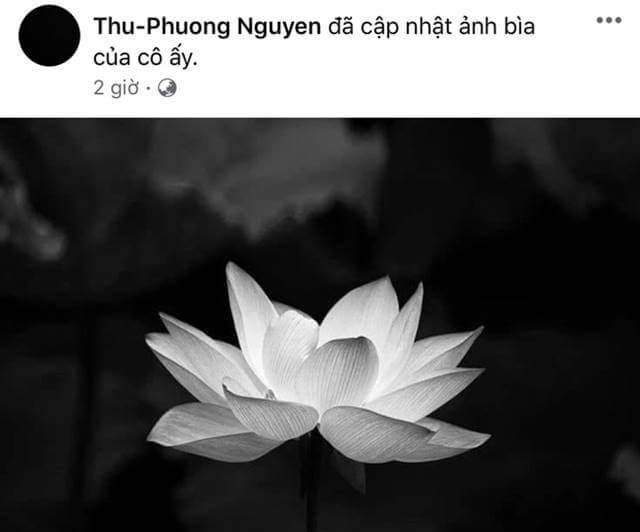 993+ Avatar ảnh buồn đám tang - Sưu tầm ảnh buồn, tang tóc