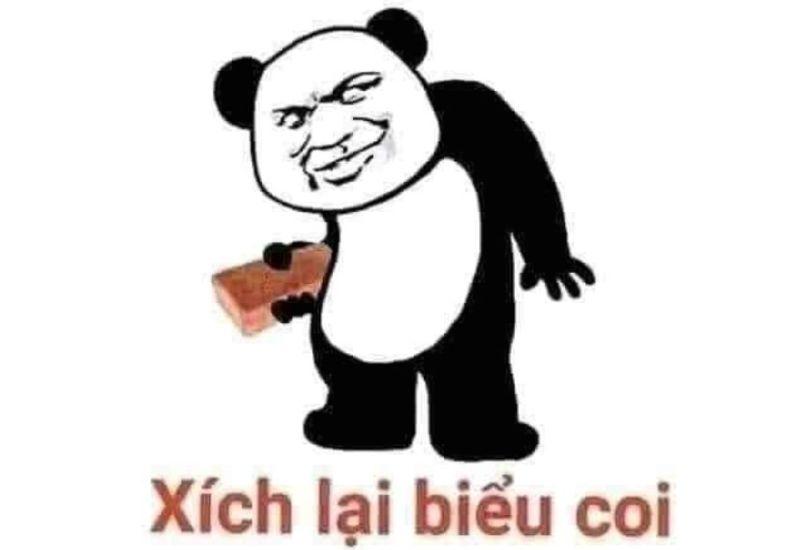 Meme gấu Trung Quốc và hải ly ấn tượng siêu hài hước