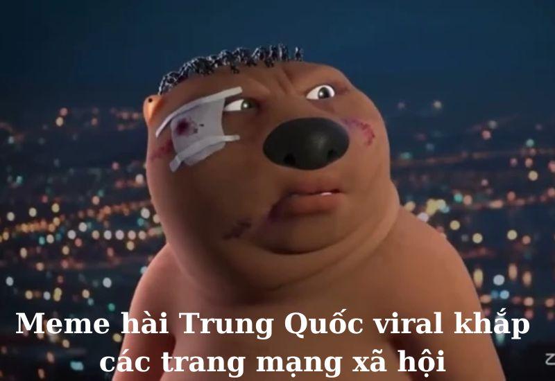 Meme gấu Trung Quốc và hải ly ấn tượng siêu hài hước