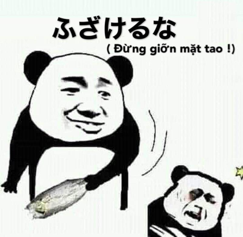 Meme gấu Trung Quốc và hải ly ấn tượng siêu hài hước