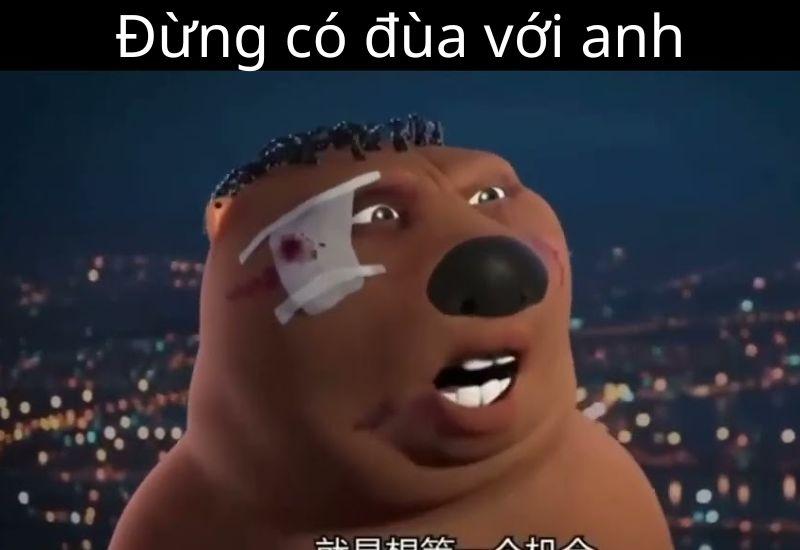 Meme gấu Trung Quốc và hải ly ấn tượng siêu hài hước