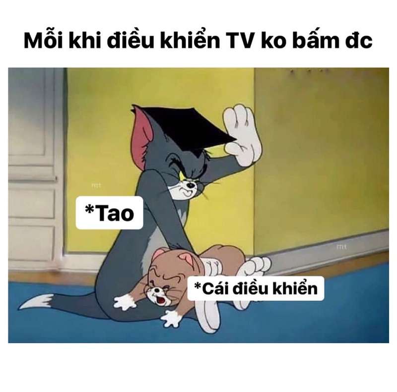 Tổng hợp bộ Tom and Jerry meme cực hài hước dễ thương