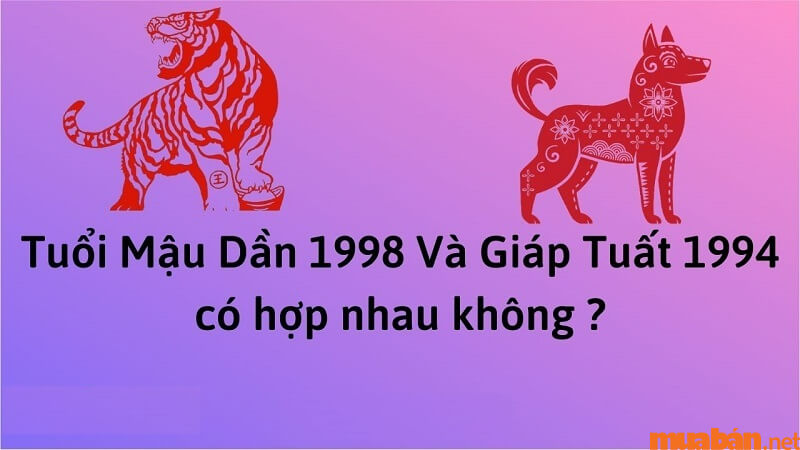 Nam 1994 lấy vợ tuổi nào thì hợp? Nên kết hôn năm bao nhiêu tuổi?