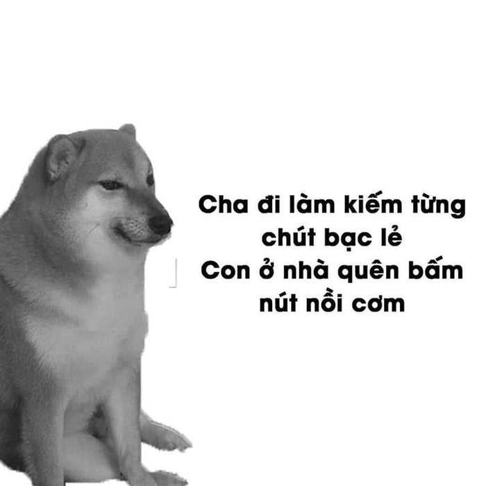 Meme Chó Cười: Hành Trình Đến Thiên Đàng Hài Hước