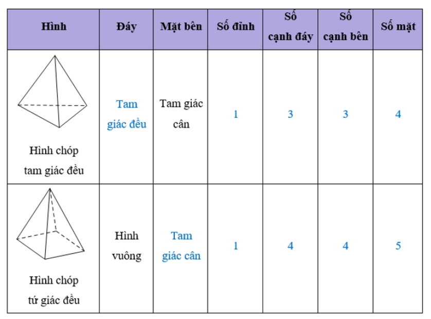 Hình chóp tam giác đều| Toán 8 chương trình mới