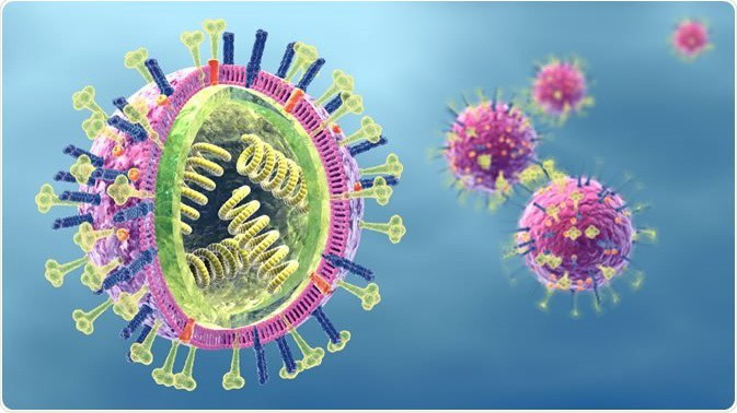 Đặc điểm cấu tạo của virus gây bệnh và phân loại phổ biến