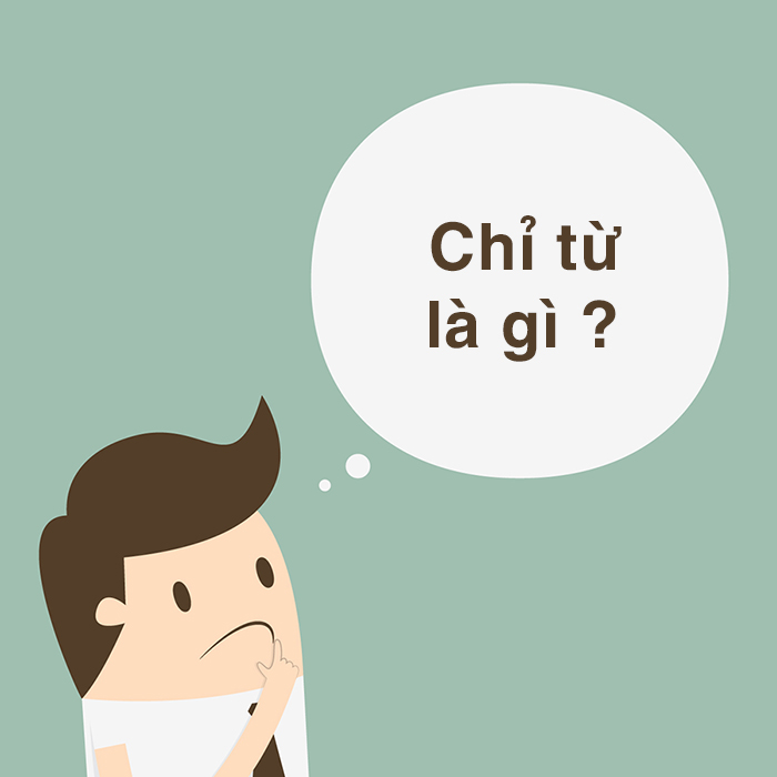 Chỉ từ là gì? Ví dụ và vai trò của chỉ từ trong câu chi tiết nhất