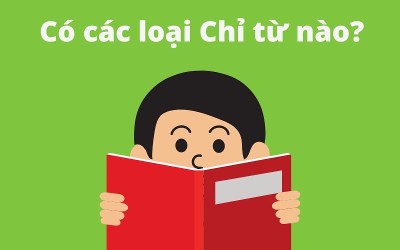 Chỉ từ là gì? Khái niệm, vai trò, các loại chỉ từ và bài tập minh họa