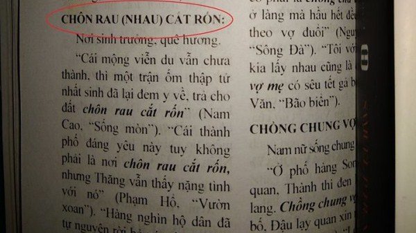 Tranh cãi câu thành ngữ 'chôn rau cắt rốn' hay 'chôn nhau cắt rốn': NXB Giáo dục VN lý giải