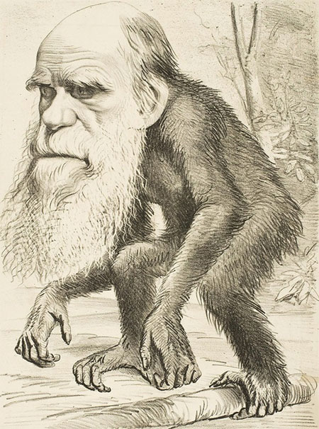 Charles Darwin - Thuyết tiến hóa và chọn lọc tự nhiên