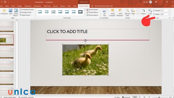 Cách chèn ảnh vào Powerpoint cực đơn giản, chi tiết cho mọi phiên bản