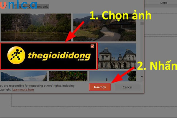 Cách chèn ảnh vào Powerpoint cực đơn giản, chi tiết cho mọi phiên bản