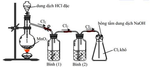 Cl hóa trị mấy? Clo có những tính chất gì?