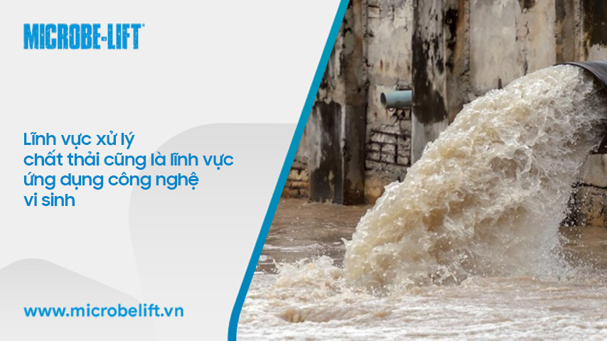 Công nghệ vi sinh là gì? Những lĩnh vực nào đang ứng dụng công nghệ vi sinh hiện nay?