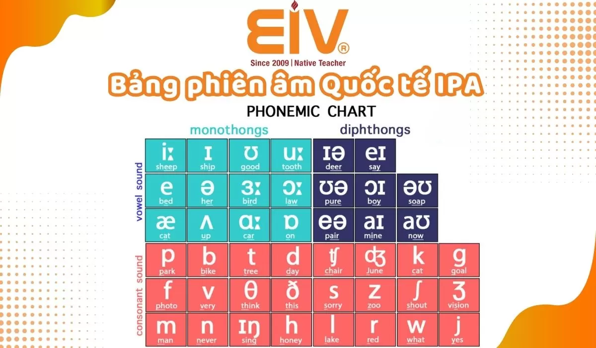 Bảng chữ cái tiếng Anh kèm cách phát âm chuẩn nhất