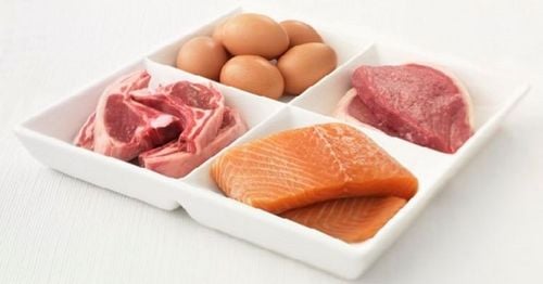 9 chức năng quan trọng của protein đối với cơ thể