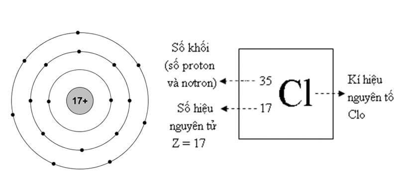 Clo là gì? Tính chất lý hóa, Ứng dụng, Tác động đối với sức khỏe