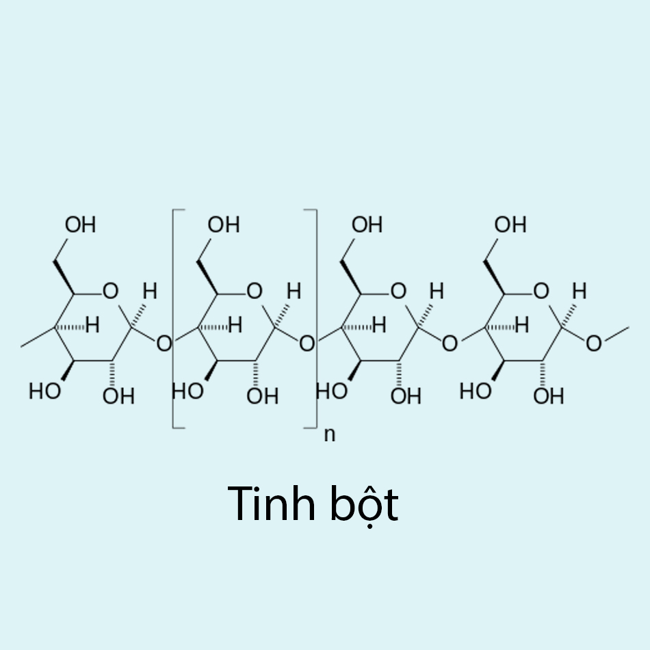 Lý Thuyết Saccarozơ Tinh Bột Và Xenlulozơ Đầy Đủ Nhất & Bài Tập