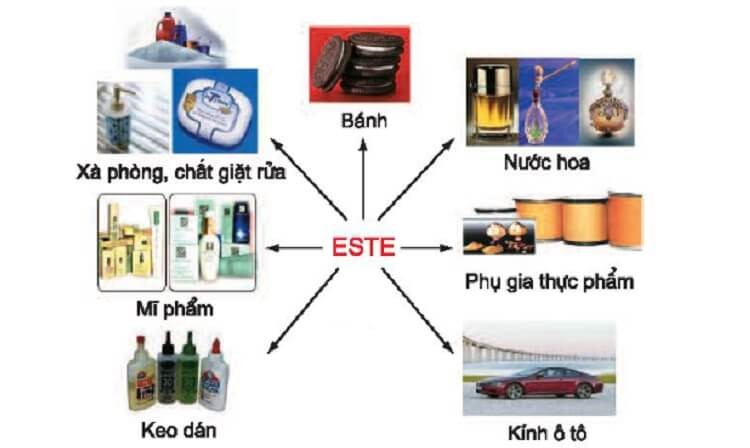 Este là gì? Tìm hiểu công thức, tính chất, cách điều chế, ứng dụng