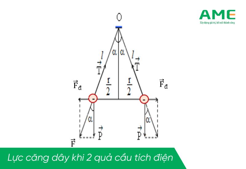 Lực căng dây là gì? Đặc điểm và công thức tinh